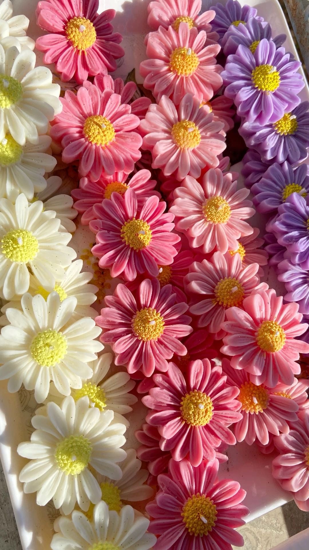 Μαργαρίτα Μπομπονιέρα