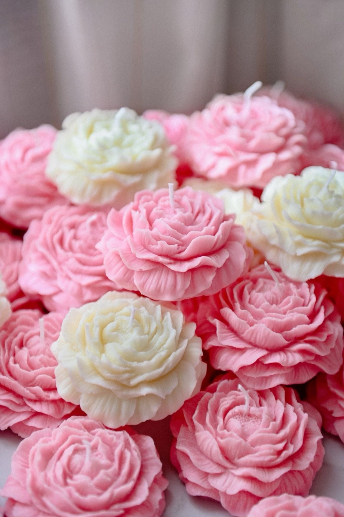 Παιώνια Μπομπονιέρα