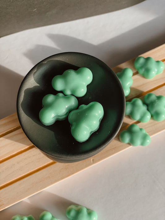 In the Clouds ☁️ Wax Melts
